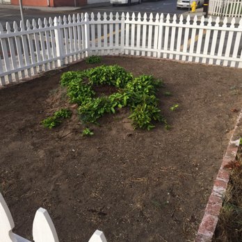 Synthetic Turf Pros - Photo 1 of 9 : The problem area of an existing tree that was removed, yet the stump and roots remained. - Landscaping Near Me