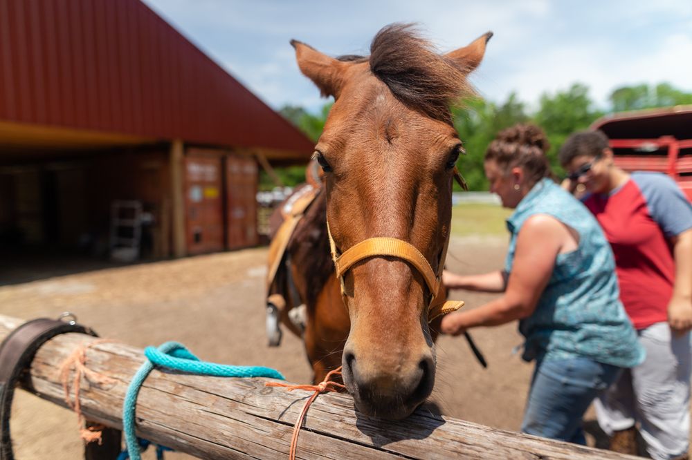 Red Barn Pony Park - equestrian in Dalzell, SC