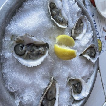 Stewman's Lobster Pound - Fresh oysters - Seafood Near Me - Bar Harbor, Maine Stewman's Lobster Pound - Fresh oysters - Seafood Near Me - Bar Harbor, Maine