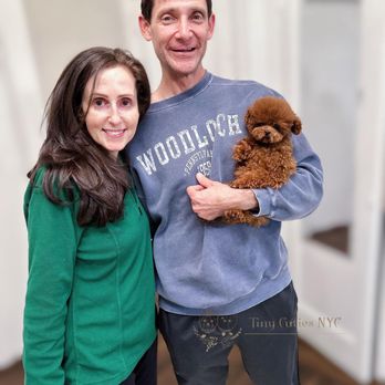 Tiny Cuties NYC - Pet Breeders Near Me - City, New York Tiny Cuties NYC - Pet Breeders Near Me - City, New York