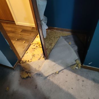P&G Cleaning Services - we asked them not to clean this room, door was opened, room cleaned dog shut in room,destroyed the carpet trying to get out. - Home Cleaning Near Me P&G Cleaning Services - we asked them not to clean this room, door was opened, room cleaned dog shut in room,destroyed the carpet trying to get out. - Home Cleaning Near Me