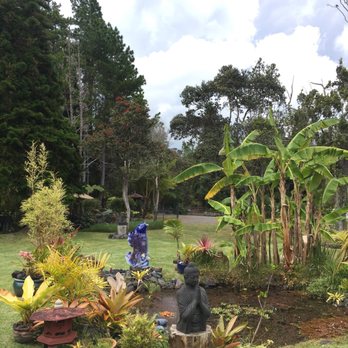 Cafe Ono - Coffee & Tea Near Me - Volcano, Hawaii