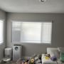 Photo of Jnk Shade