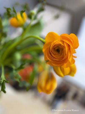 Southside Flower Market by null