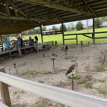 The Avian Reconditioning Center - Animal Shelters Near Me - Apopka, Florida The Avian Reconditioning Center - Animal Shelters Near Me - Apopka, Florida