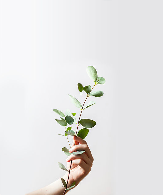 Holding Hope DFW - grief counselor in Richardson, TX