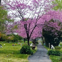 Friends of Imperial Crown Pet Cemetery