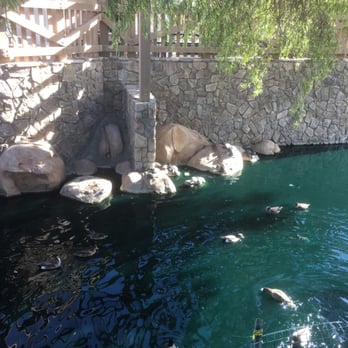 Heritage Park - Lovely scenery! - Parks Near Me - Cerritos, California Heritage Park - Lovely scenery! - Parks Near Me - Cerritos, California