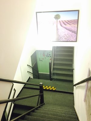 Spring Garden Spa 30 Ann St by null