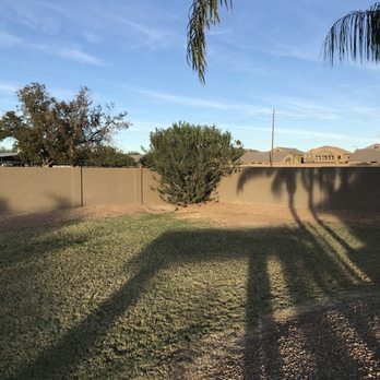 Branch Management Tree Service - Tree Services Near Me - Scottsdale, Arizona Branch Management Tree Service - Tree Services Near Me - Scottsdale, Arizona