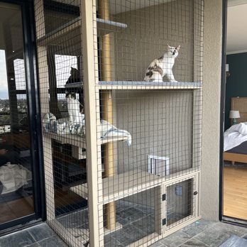 Catio Guy - Pet Services Near Me Catio Guy - Pet Services Near Me