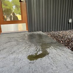 The Dog Haus - My insane amount of vomit because my body is trying to purge whatever is left of that brat in my stomach.