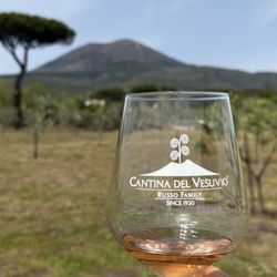 Lentino Driver Tours - Winery lunch he booked for us