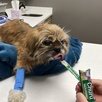 Warm & Fuzzy Veterinary Center - Veterinarians Near Me - Middle River, Maryland