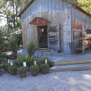 Raleigh Road Garden Center - Home & Garden Near Me - Wilson, North Carolina Raleigh Road Garden Center - Home & Garden Near Me - Wilson, North Carolina