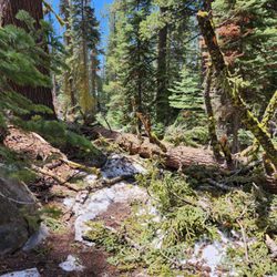 Sentinel Dome & Taft Point - May 2024 - snowmelt continues