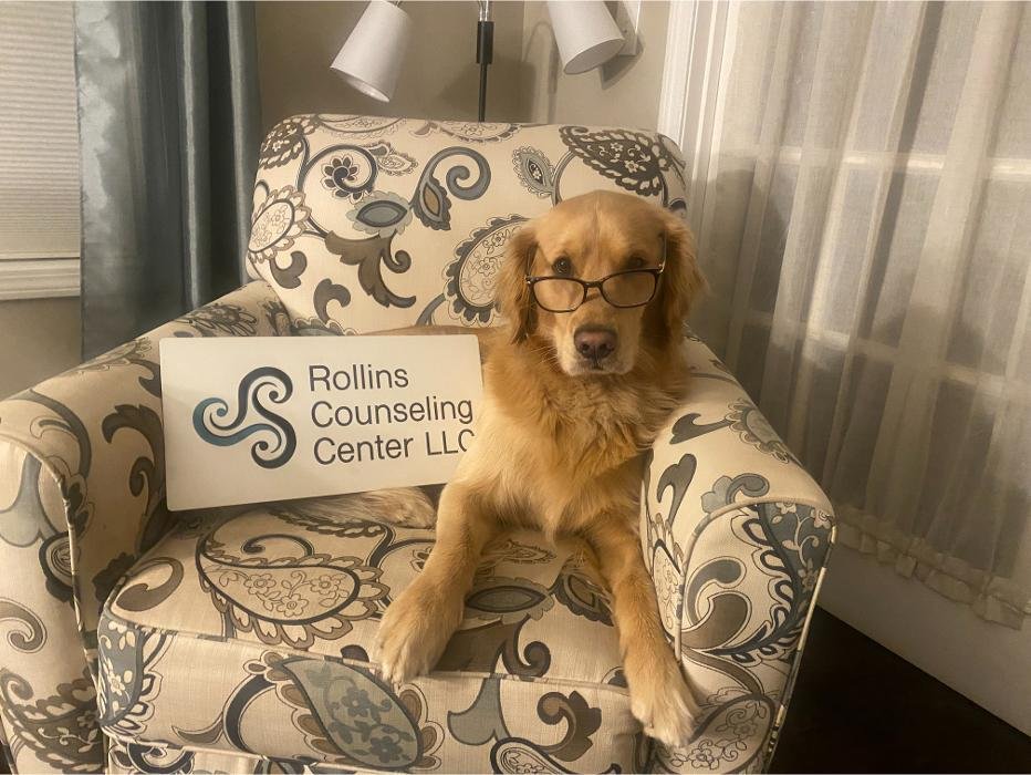 Rollins Counseling Center - grief counselor in Shrewsbury, MA