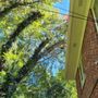 Photo of Hill's Tree Service
