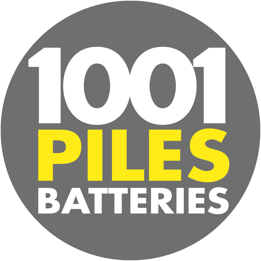 1001 Piles Batteries