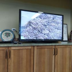 American Hop Museum - It starts with a movie about hop growing.