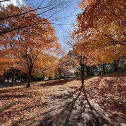 Captain Stephen Olney Memorial Park