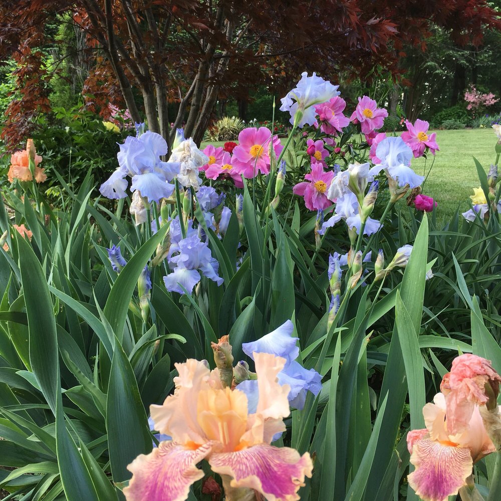 DRAYCOTT GARDENS Updated September 2024 10 Photos 16815 Falls Rd