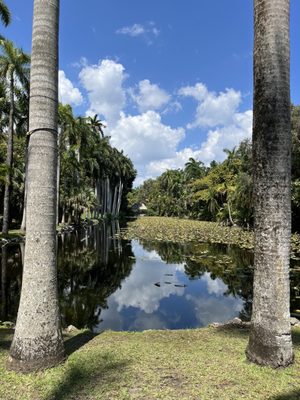 Bonnet House Museum & Gardens by null