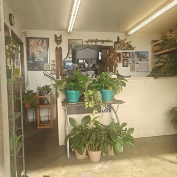 L&K Auto Service - Plants - Auto Repair Near Me - Artesia, California L&K Auto Service - Plants - Auto Repair Near Me - Artesia, California