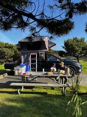 Nehalem Bay State Park by null