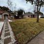 Photo of Carlitos Tree Service & More