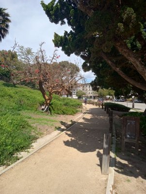 Fox Hills Park by null