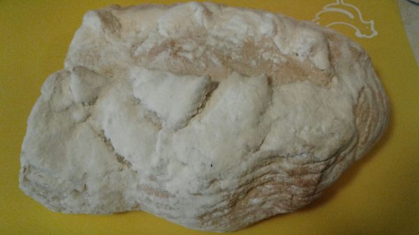Bread Art by null