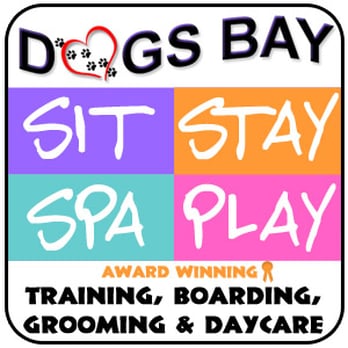 Dogs Bay - Pet Sitting Near Me - Holland, Michigan Dogs Bay - Pet Sitting Near Me - Holland, Michigan