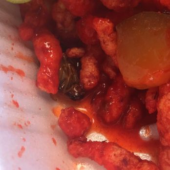 Hay Elotes - This location needs to work on cleanliness! I will NOT be returning. I found a ROACH in my sour hot cheetos! - Desserts Near Me - Austin, Texas Hay Elotes - This location needs to work on cleanliness! I will NOT be returning. I found a ROACH in my sour hot cheetos! - Desserts Near Me - Austin, Texas