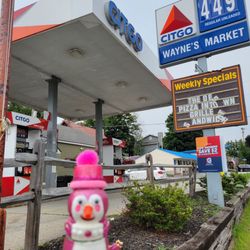 Waynes Market - JULY 18TH, 2026