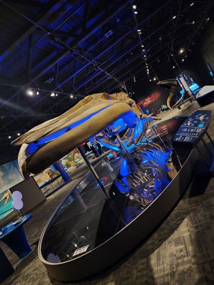 TELUS World of Science by null