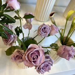 Roses Roses