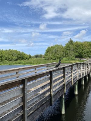 Green Cay Nature Center & Wetlands by null