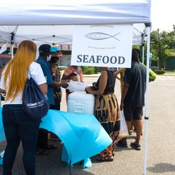 Laurelton Farmers Market - Amadah Gallery Seafood at Laurelton Farmers Market