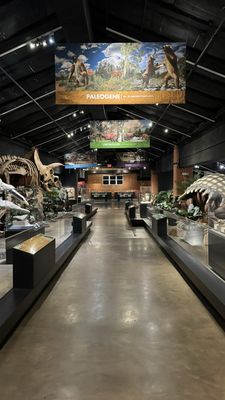 Houston Museum of Natural Science at Sugar Land by null