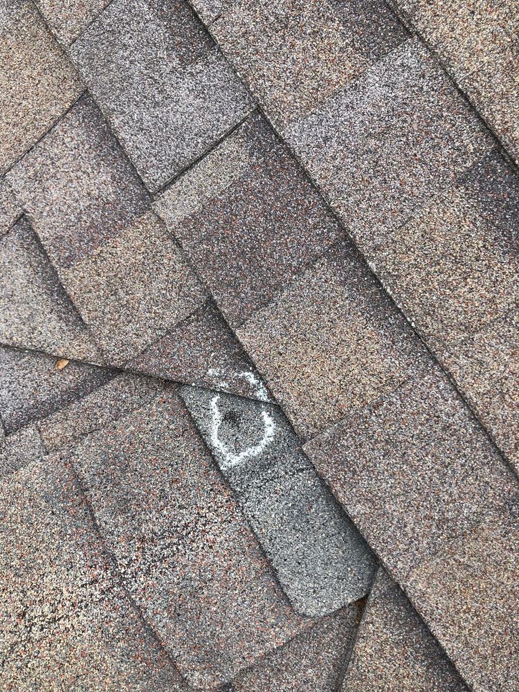 Slide of AP Industries