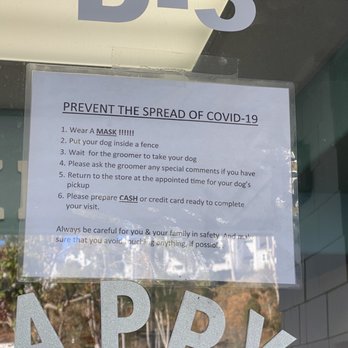 happy grooming - Covid guidelines - Pet Groomers Near Me - San Diego, California