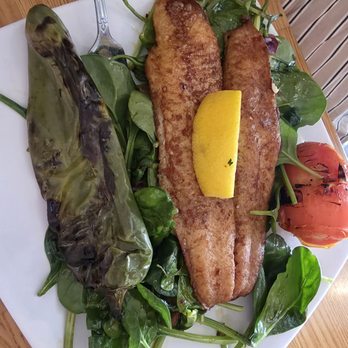 The Diplomat Eatery and Tavern - Mediterranean Near Me - Monrovia, California The Diplomat Eatery and Tavern - Mediterranean Near Me - Monrovia, California