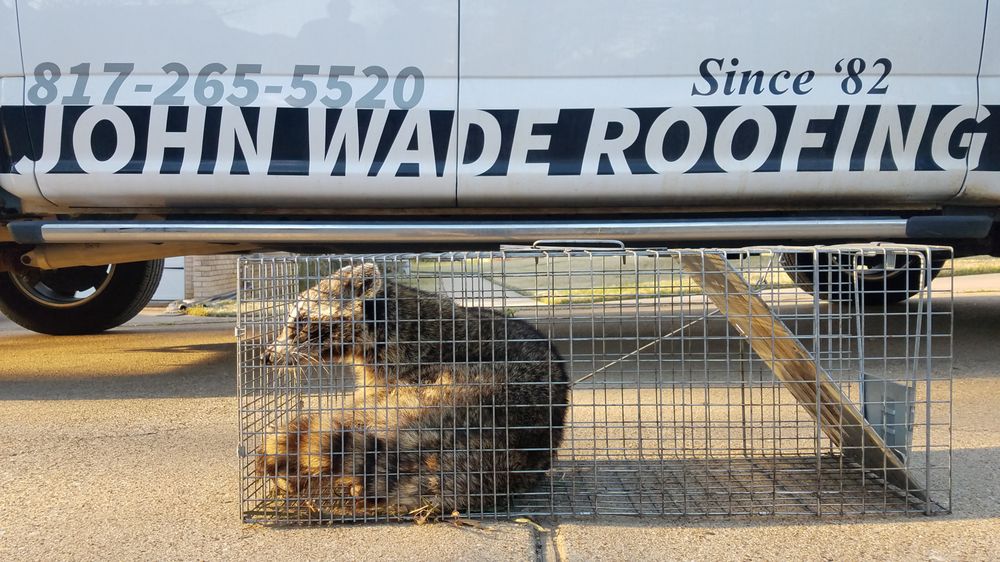 Slide of John Wade Roofing