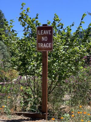 Lightwave Coffee & Kitchen by null