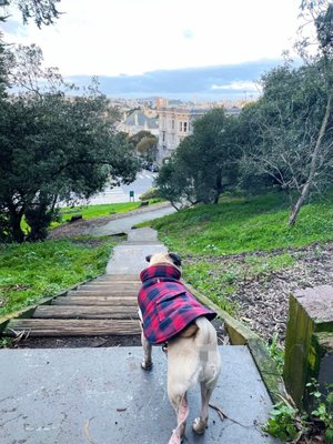 Buena Vista Park by null