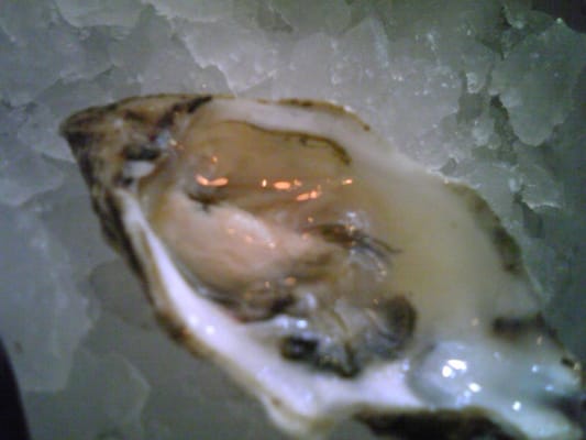 Blue Plate Oysterette by null