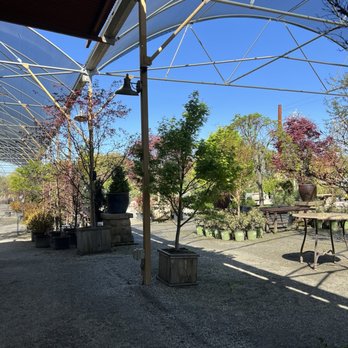 High Hand Cafe - View from my table to nursery - New American Near Me - Loomis, California