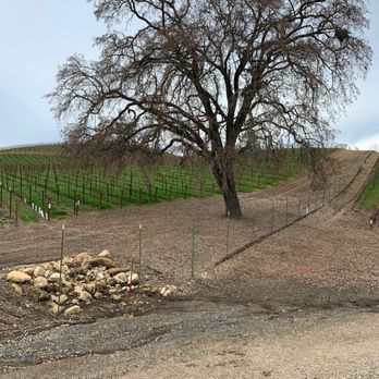 The Inn at Opolo - View of the vineyard at Opolo during a quiet off season stay in January 2022. - Bed & Breakfast Near Me - Paso Robles, California