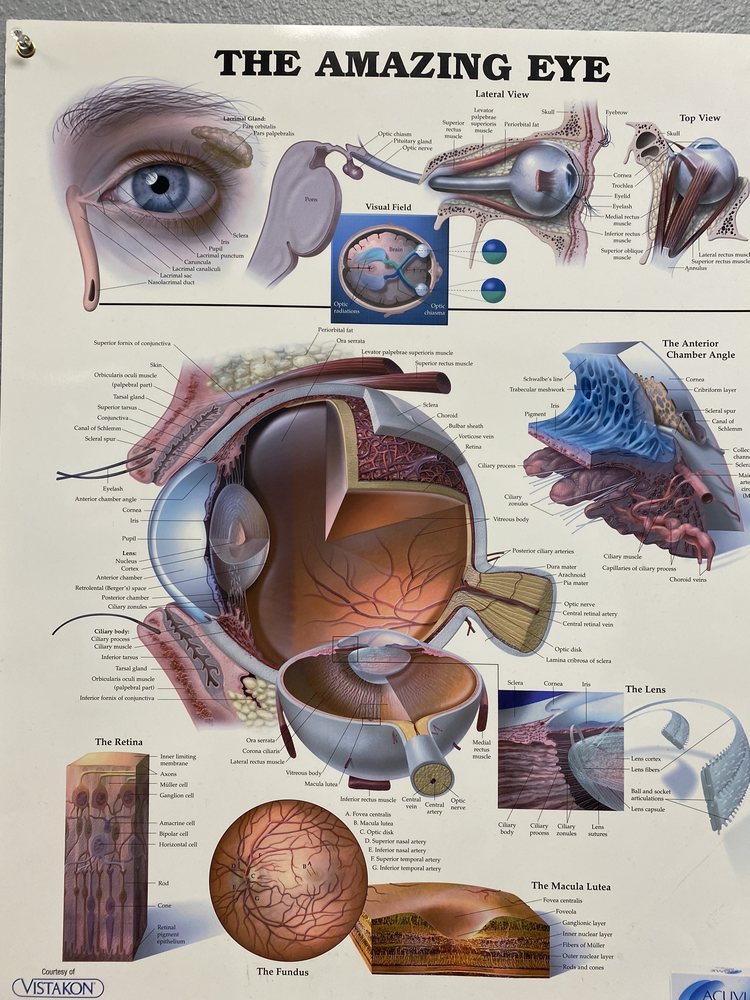 FIRSTSIGHT VISION SERVICES INSIDE WALMART Updated September 2024
